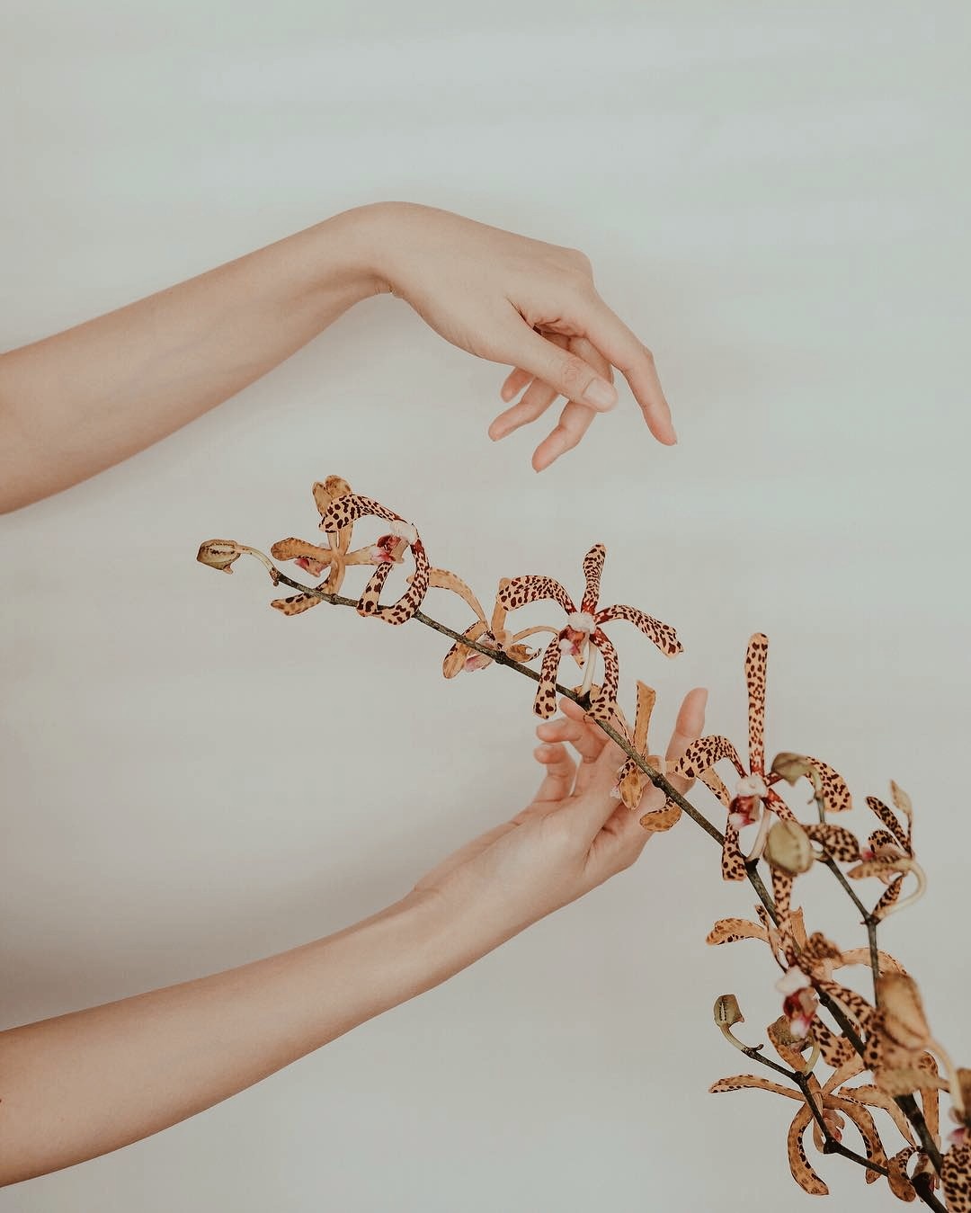 The Art of Intention: A New Way to Ritual