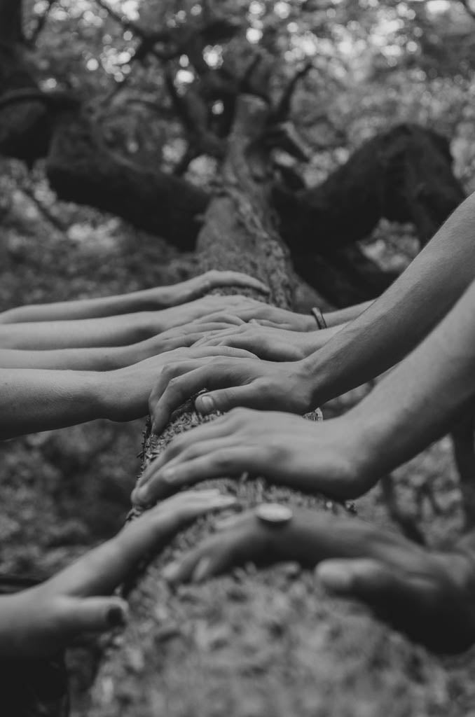 Hands joining together on tree trunk
