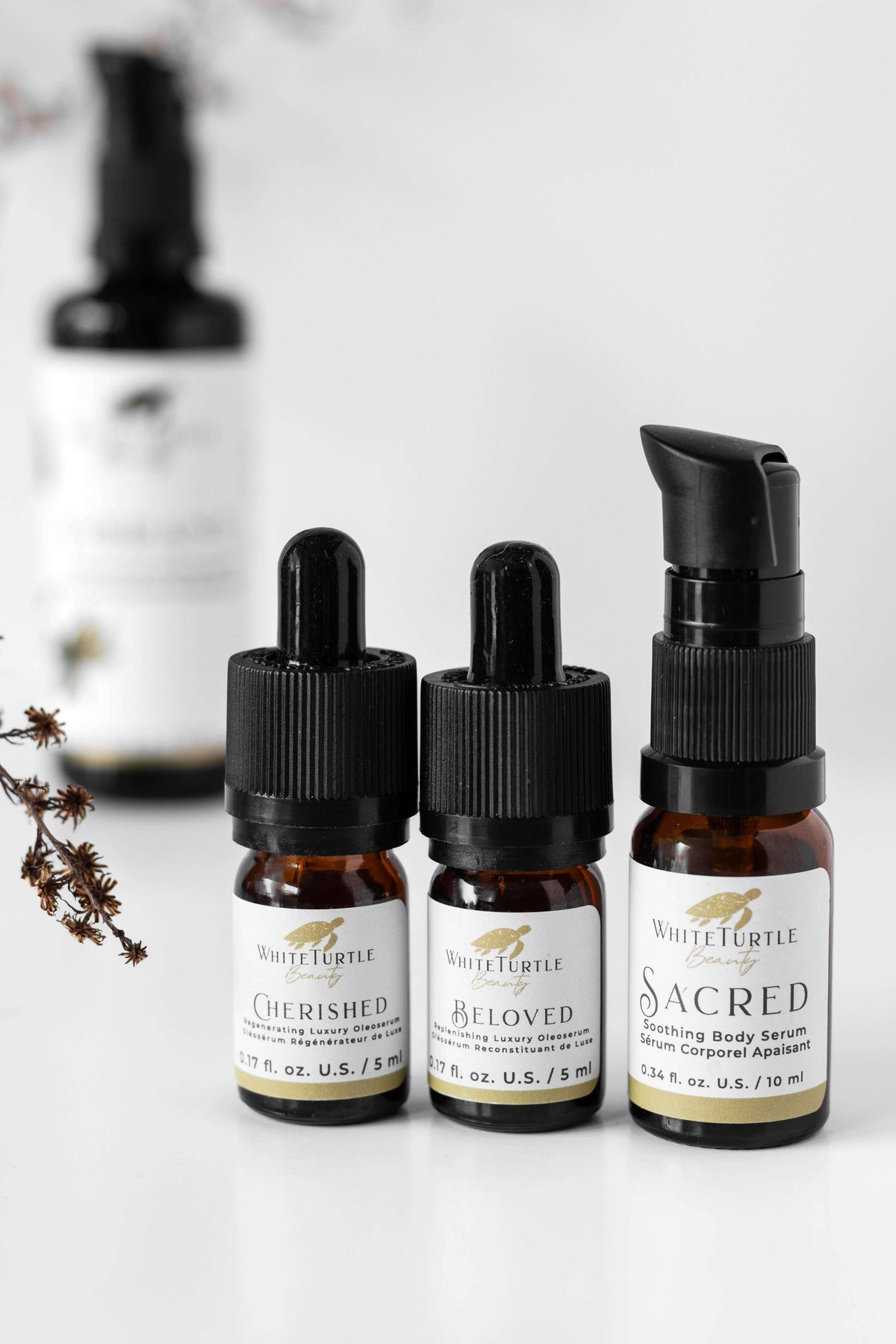 Lifestyle image of RESTORE Discovery Collection Set WHITE  TURTLE  BEAUTY