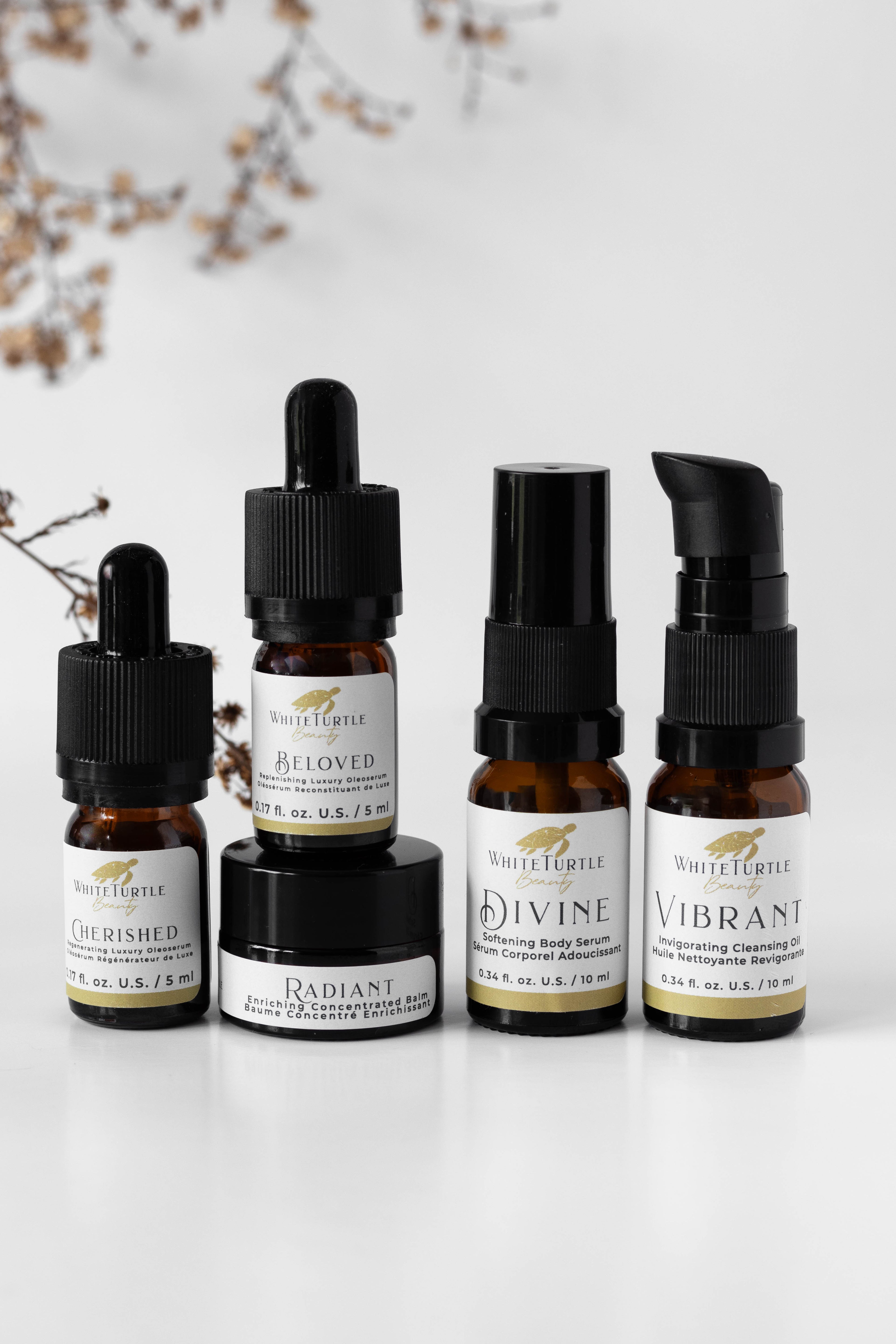 RENEW Discovery Collection Set