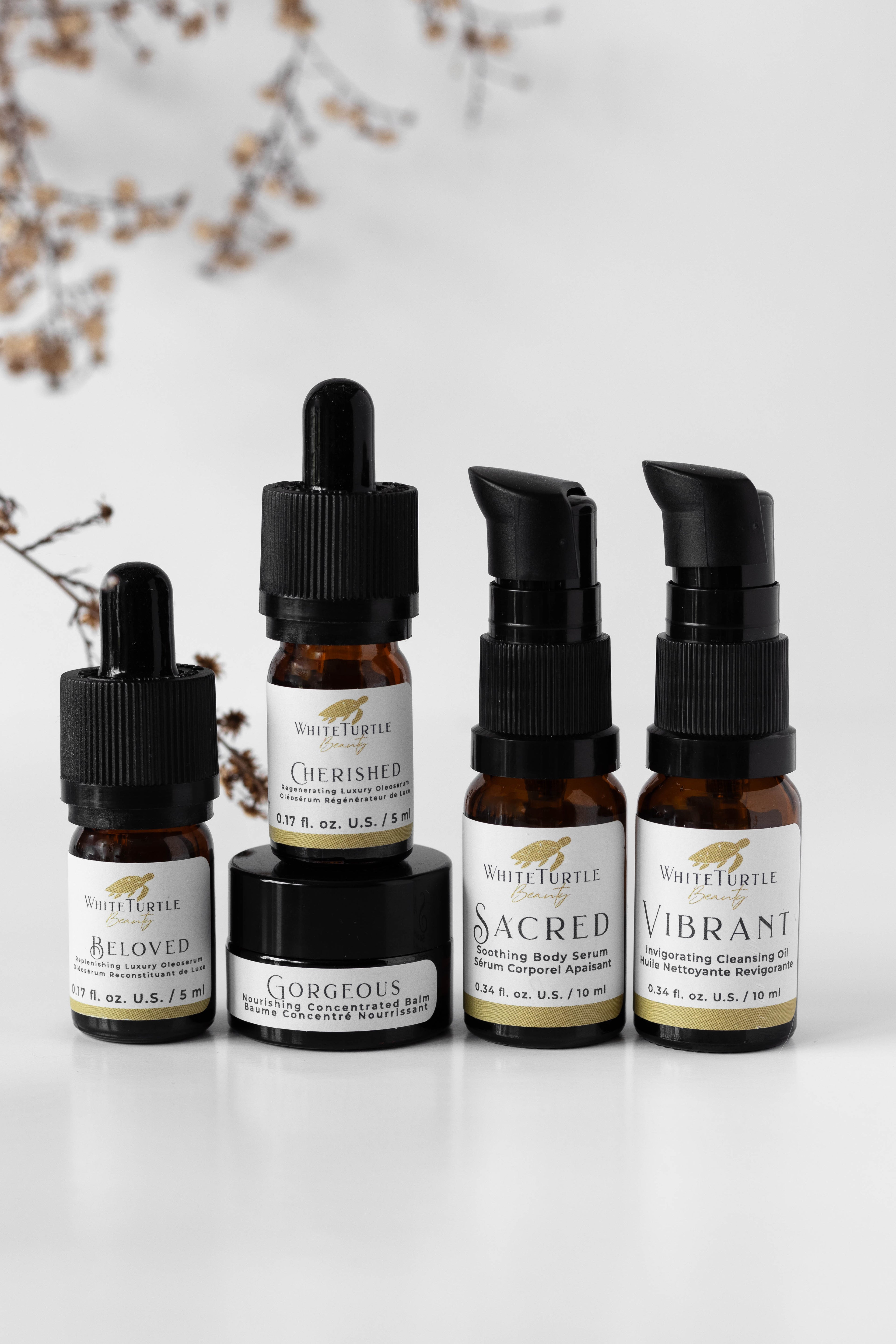 RESTORE Discovery Collection Set